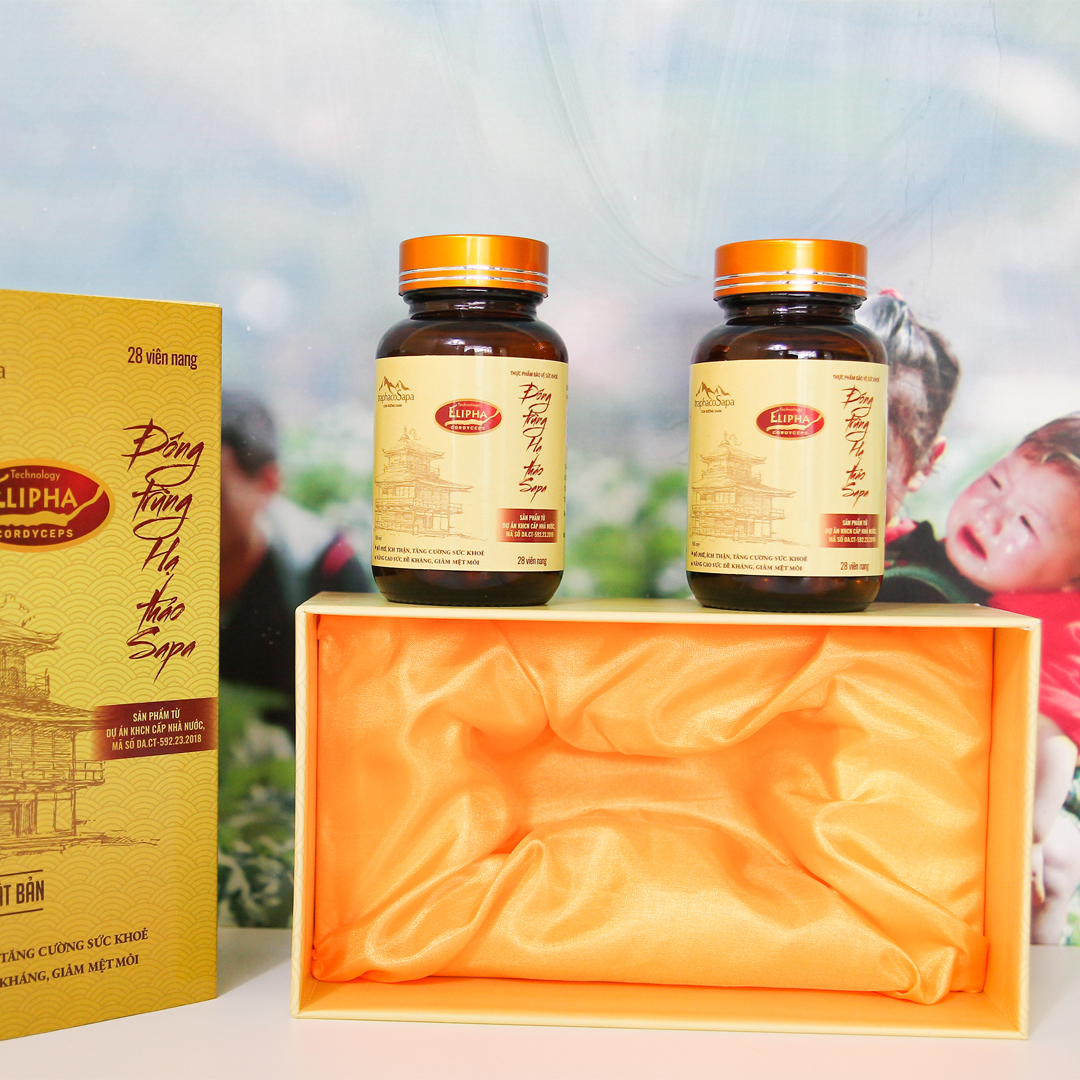 60 Viên nang Đông trùng hạ thảo Traphaco Sapa