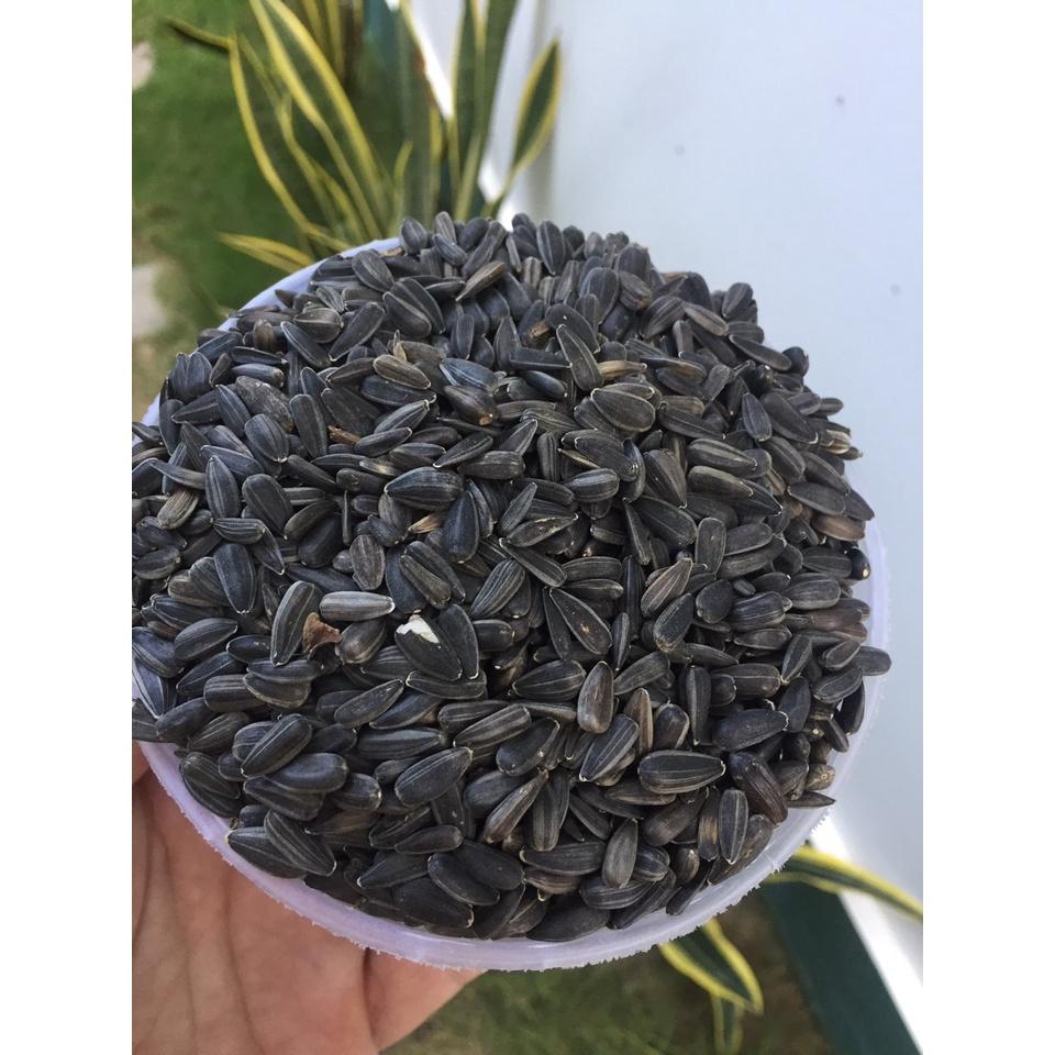 HẠT HƯỚNG DƯƠNG SIZE TRUNG CHO TẤT CẢ DÒNG VẸT SIZE TRUNG, LỚN VÀ THÚ CƯNG 1 KG
