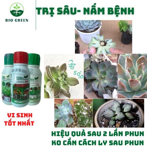 Phân bón cho sen đá,Thuốc trừ diệt sâu nấm bệnh sinh học hữu cơ TSBIO trị đốm đen,rệp sáp,thối thân lá rễ,sâu ăn thân