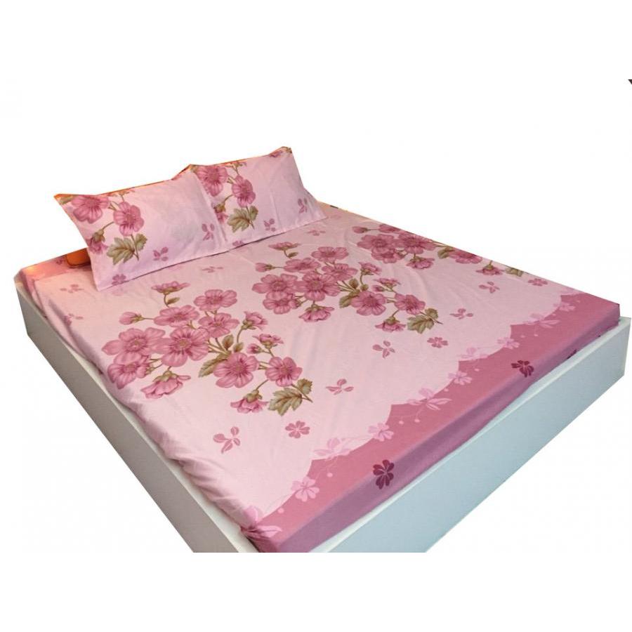 Bộ ga gối Cotton Poly đào hồng - 1m6 x 2m