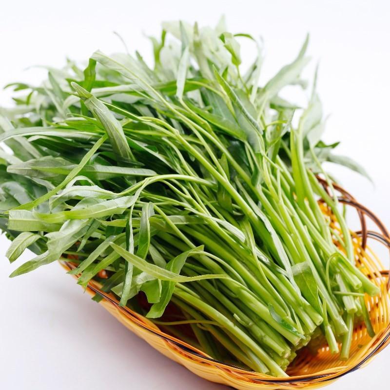 Gói 100g hạt giống rau muống lá tre Việt Nam
