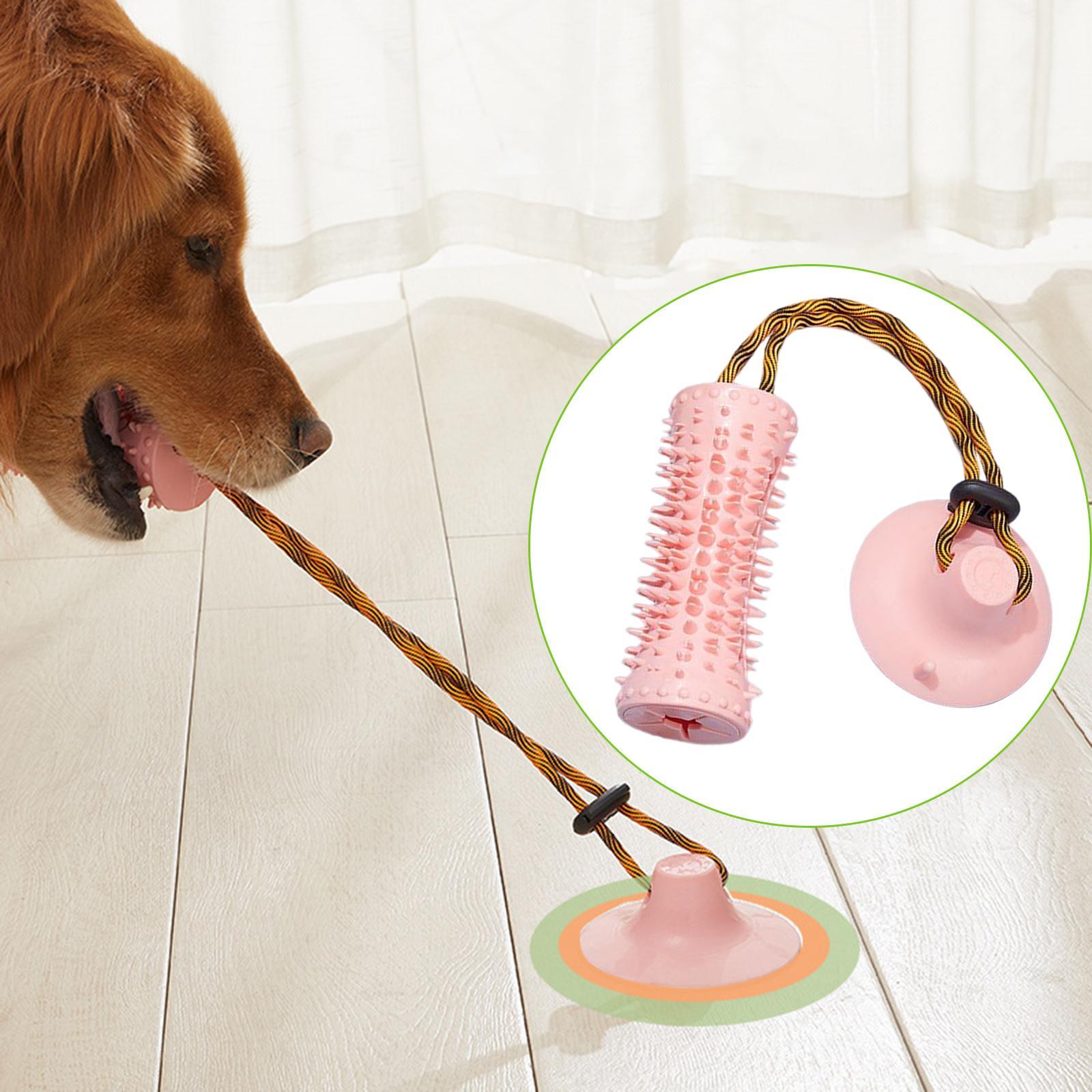 Multifunctional Dog Chew Toy Pet Molar for Self Puppy Chewing