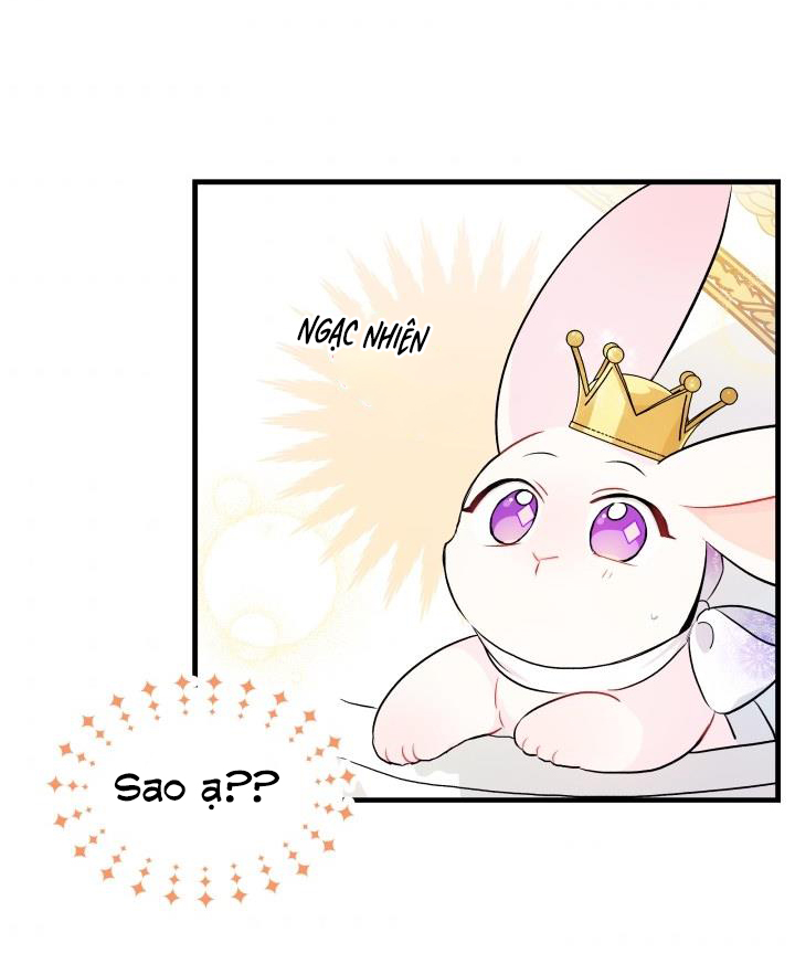 mối liên kết giữa báo đen và bé thỏ chapter 18 24