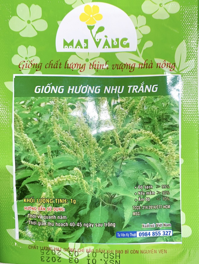 Hạt Giống Hương Nhu Trắng - Hương Nhu 4 Mùa - Gói 1Gr