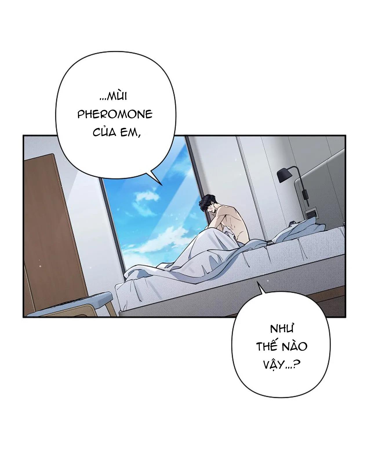 đêm dịu dàng chapter 16 15