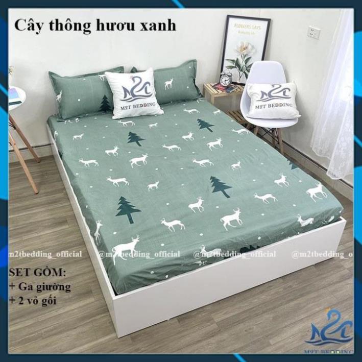 - Bộ 3 món ga gối Cotton Poly Hàn Quốc drap giường và 2 vỏ gối