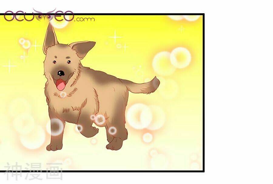 gối đầu vào tổng tài ác ma chapter 15 8