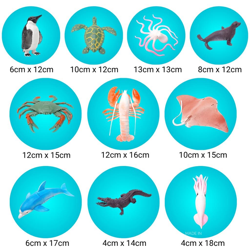 Túi 10 sinh vật biển HT7506