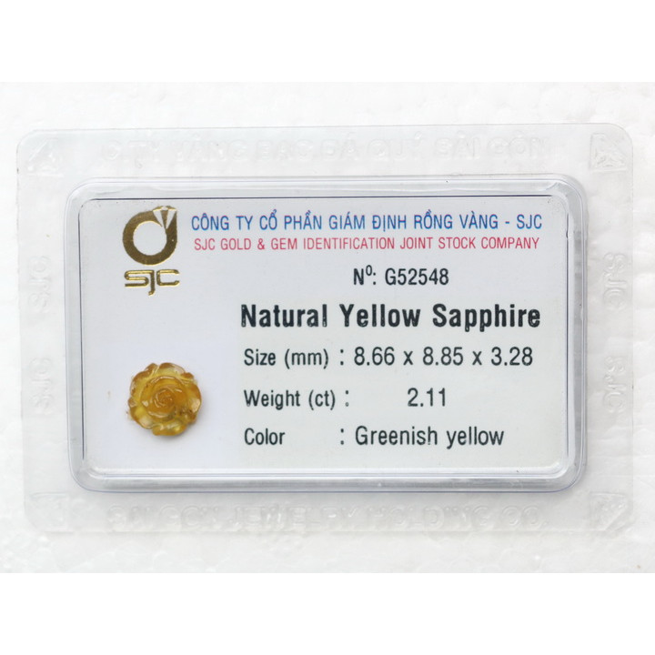 Hoa hồng sapphire vàng tự nhiên kiểm định thiên nhiên