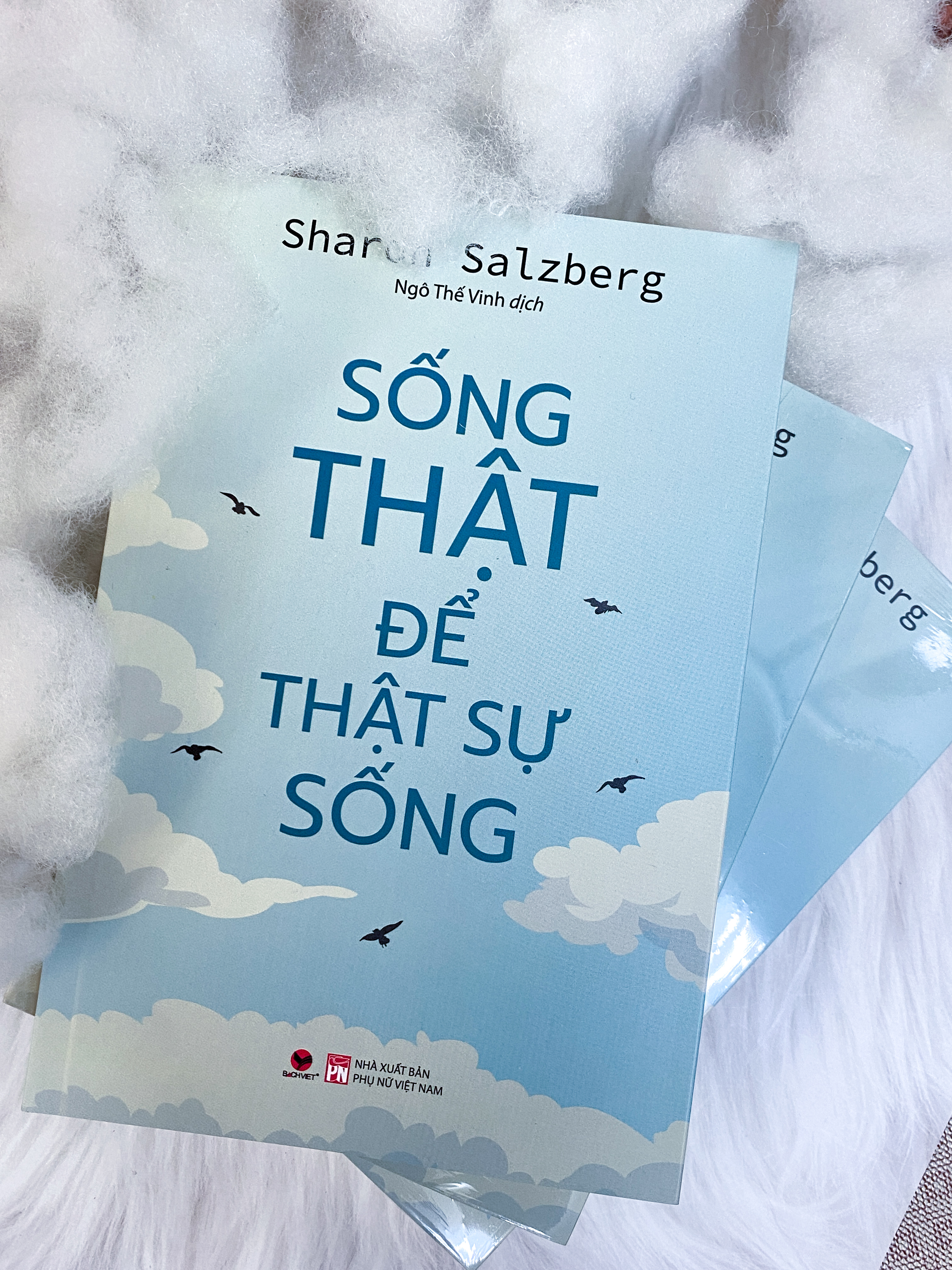 Combo sách chữa lành: Nhắm mắt lại bạn sẽ thấy - Ba câu hỏi - Sống thật để thật sự sống