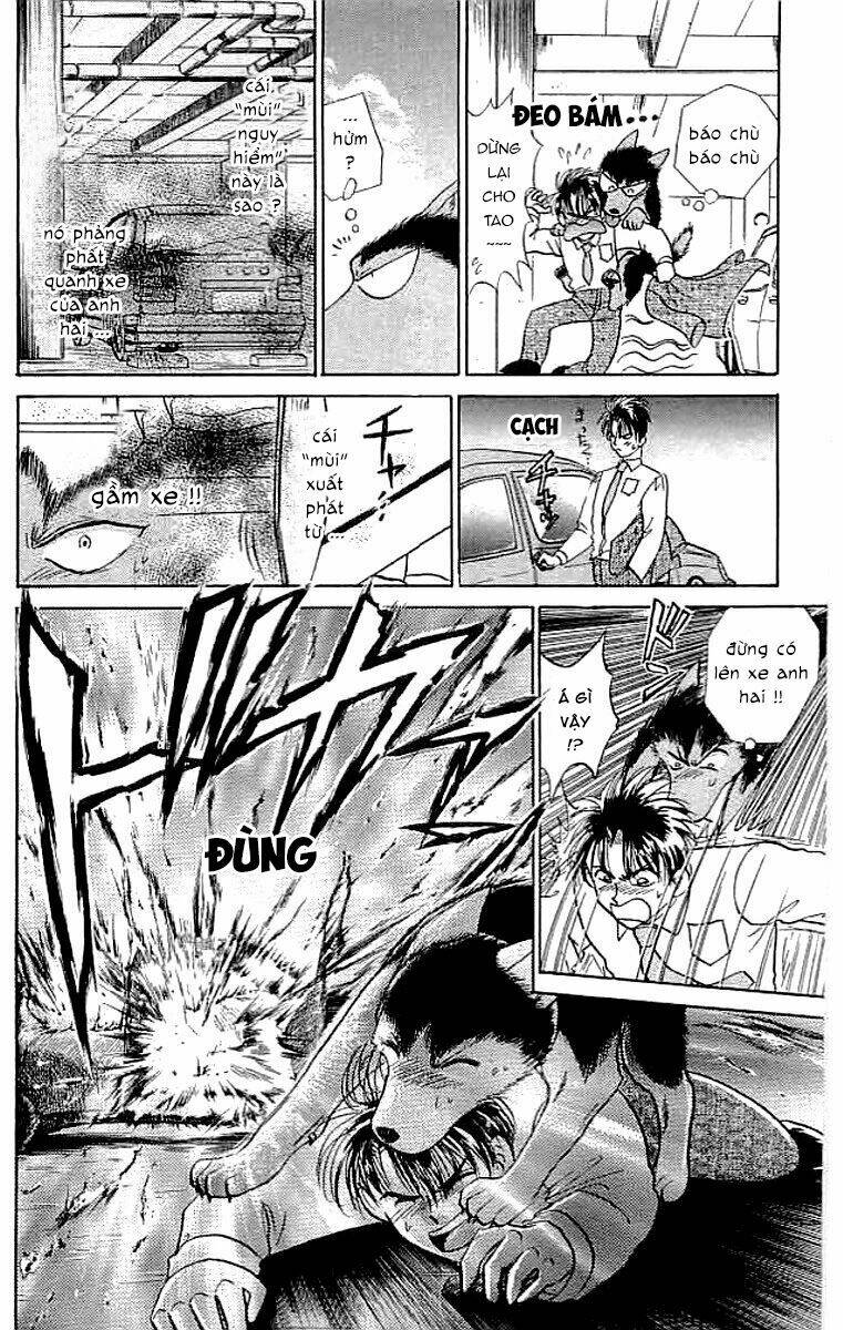 wild half chapter 11 6