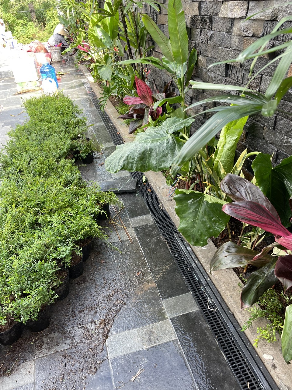 Cống thoát nước lắp ghép : Hiệu suất tối ưu, Thẩm mỹ, bền vững, chuyên dụng dành cho dân dụng & sân vườn, 2 lựa chọn nắp cống:
