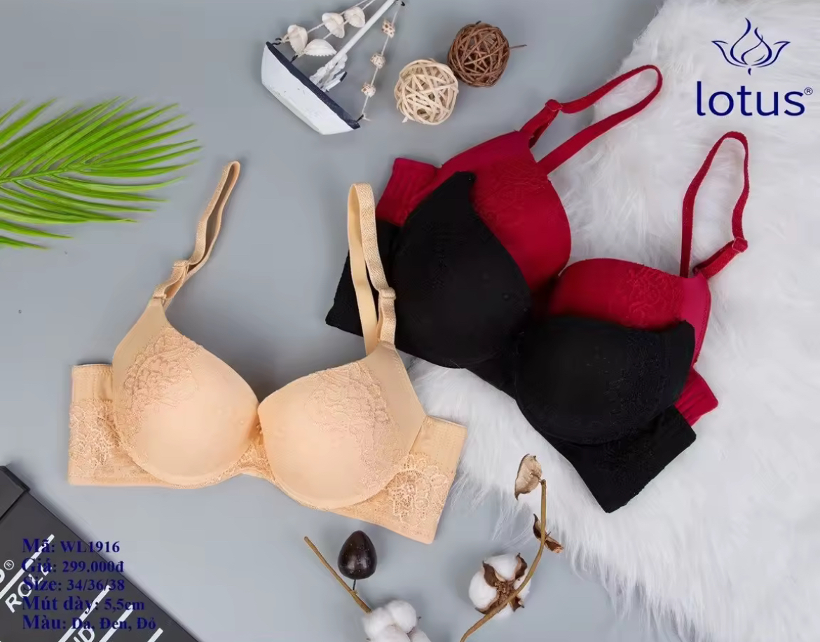 Áo Lót WL1916 Mút Dày 5cm Ren Hoa Đẩy Nâng Ngực Form Đẹp
