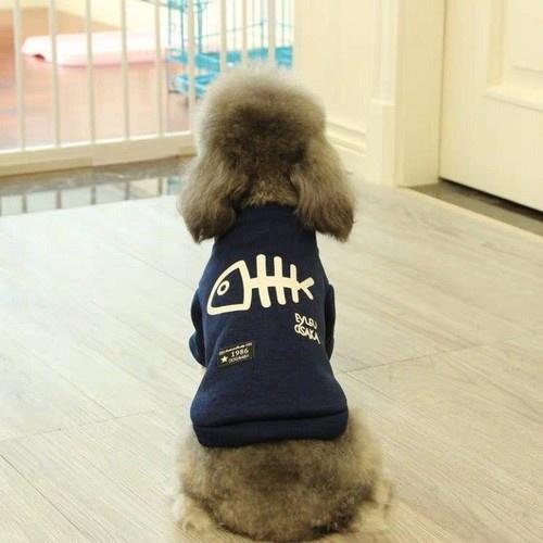 ÁO LEN HÌNH XƯƠNG CÁ DÀNH CHO CHÓ MÈO