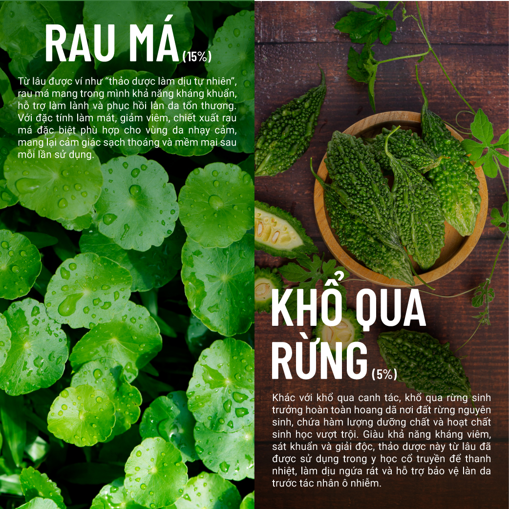 Gel Tắm Rau Má Khổ Qua Rừng Thuần Chay Heebee's Giảm Rôm Sẩy, Dưỡng Ẩm, Da Sáng Mịn Màng 300/500ML