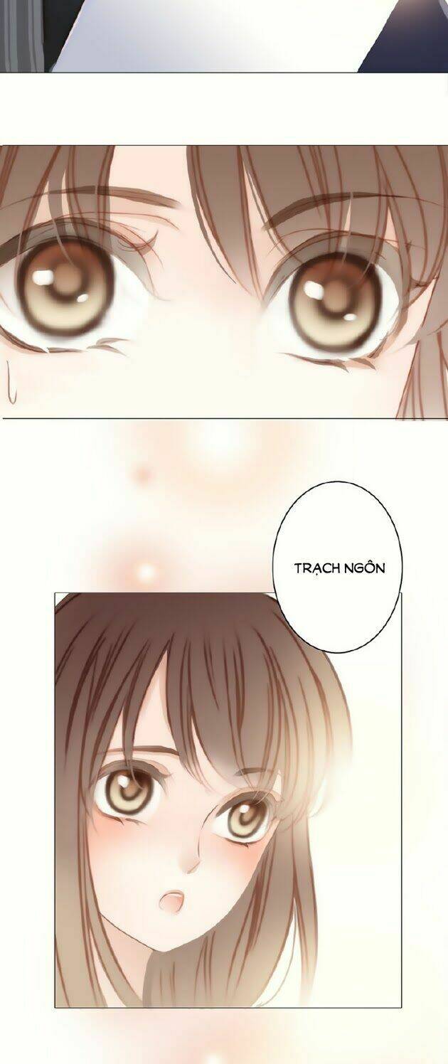 tổng hợp one shot. chapter 384 3