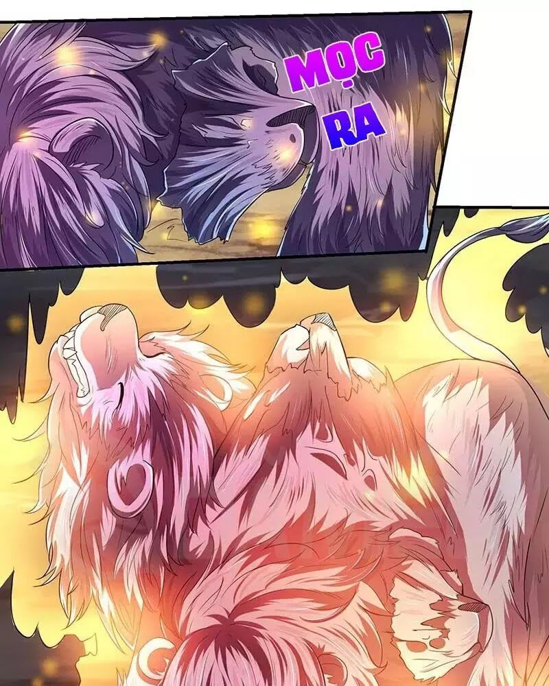 tối cường thăng cấp chapter 5 23