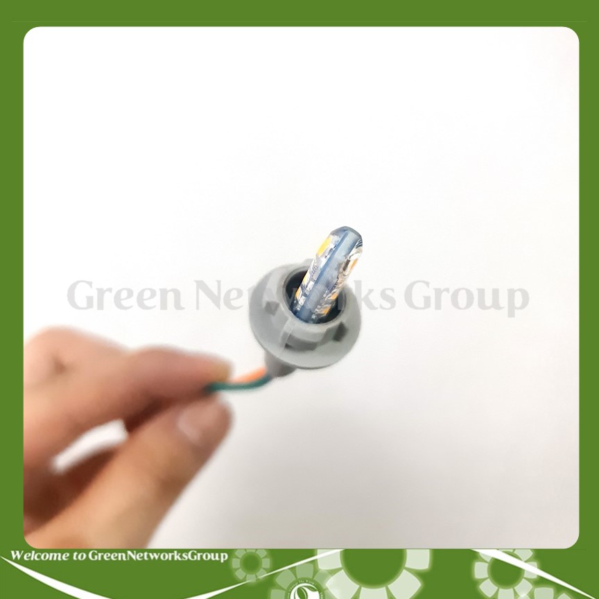 Đuôi giắc cắm đen, đèn demi, xi nhan xe máy, ô tô chân T10 - Chân ghim xi nhan demi T10 Green Networks Group