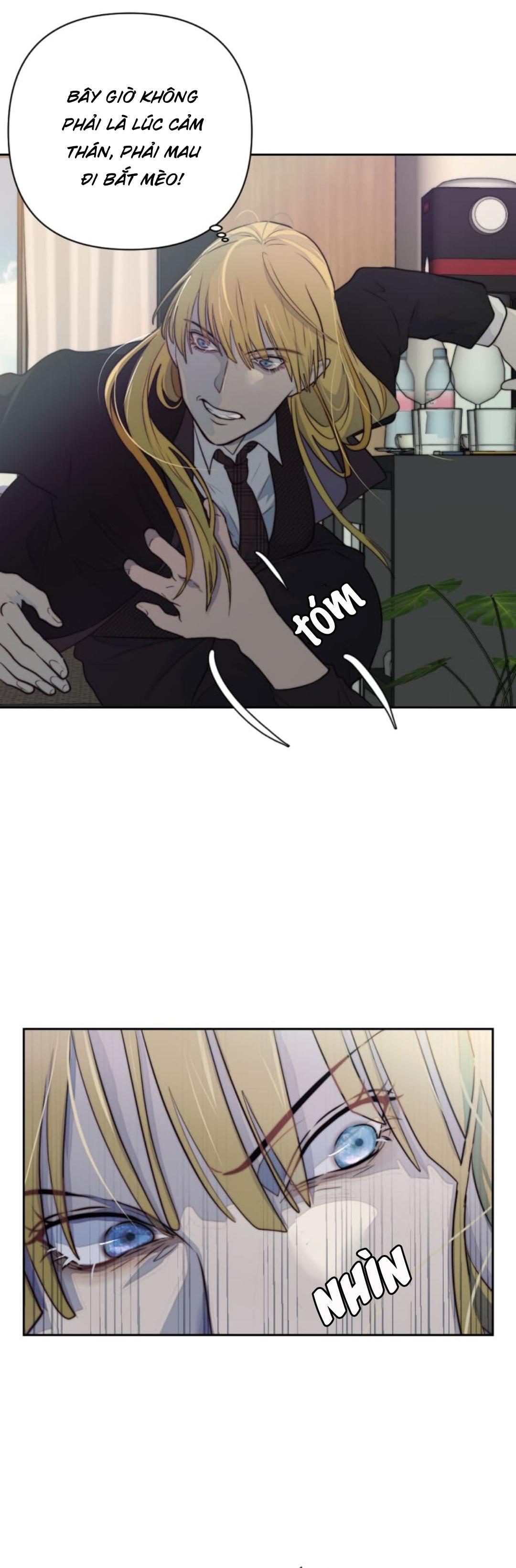 bao nuôi tiền bối chapter 34 38