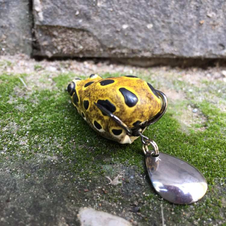 8e72f52d1655f70bae44