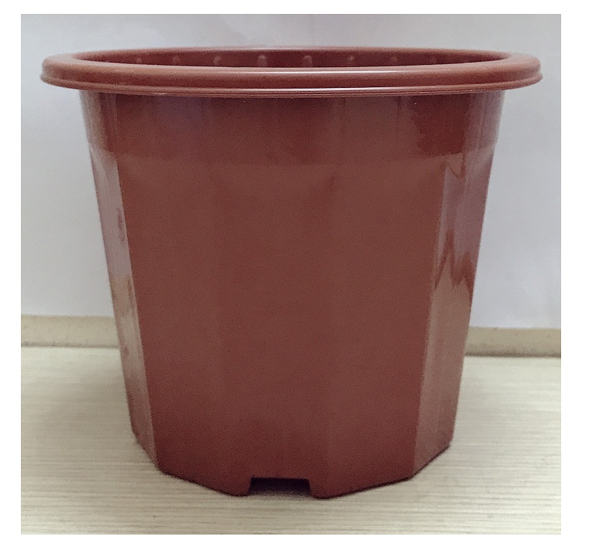 5 Chậu Nhựa Trồng Hoa, Cây Cảnh E230 CN