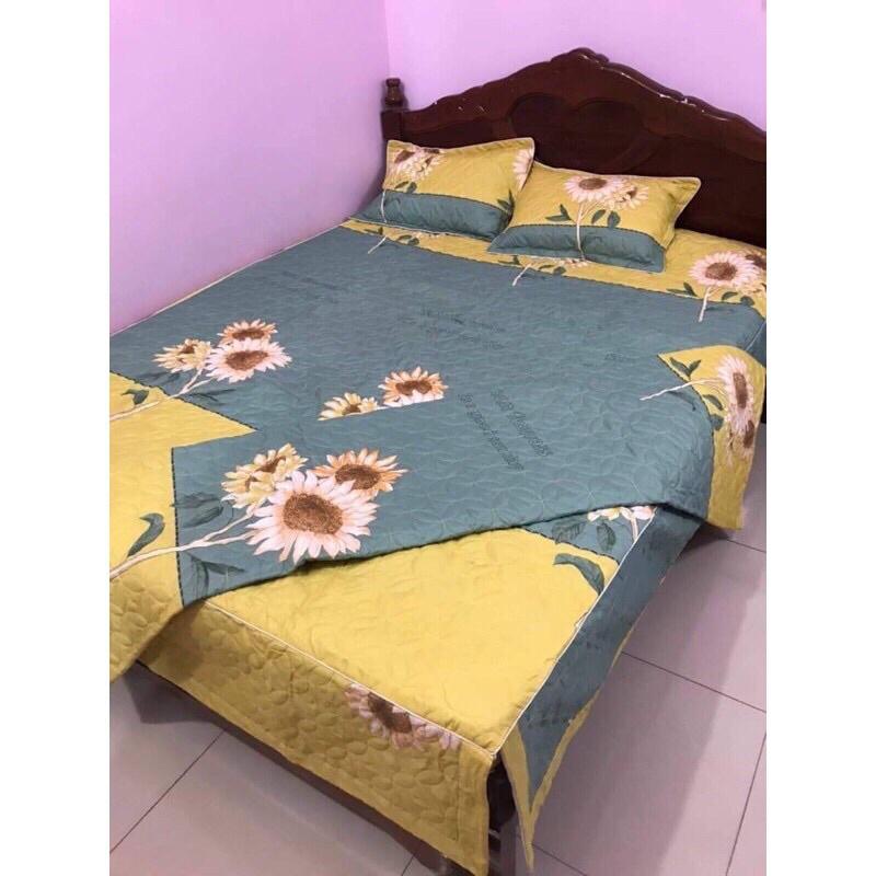 Bộ chăn ga gối 5 món ga phủ trần bông đủ các kích thước từ 1M6 đến 2M2