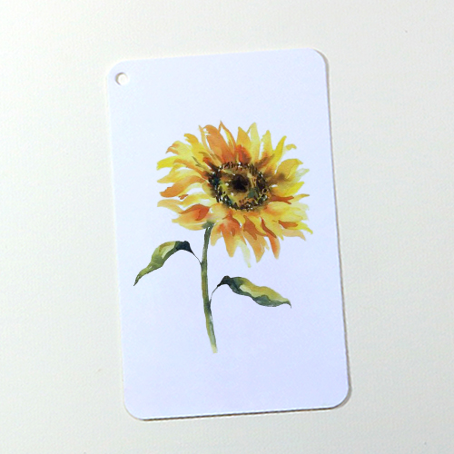 Giấy vẽ màu nước Postcard 40 tờ - vẽ đẹp cả chì và các loại màu nước, giấy dày 300gsm khổ cm, Green Art