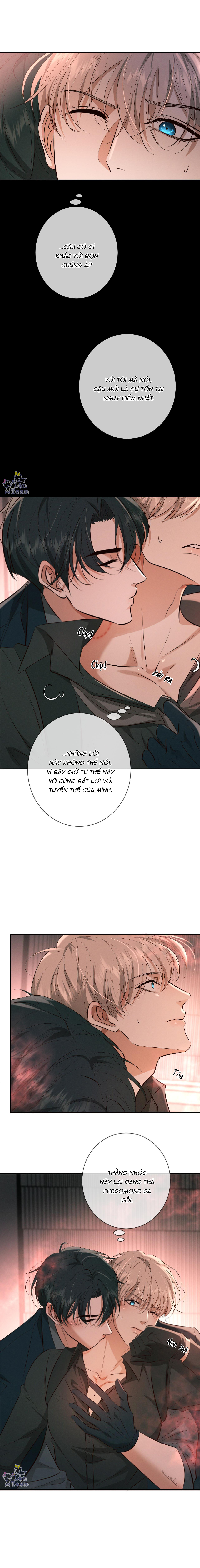 đêm cuồng say chapter 11 11