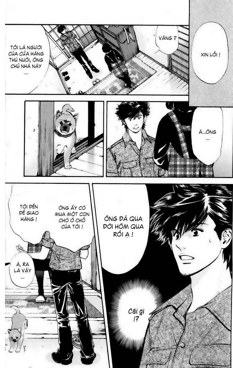 cô nàng yêu chó chapter 19 12