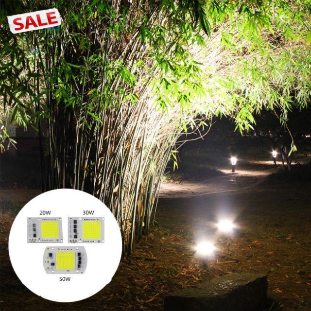 Chíp Led 20W/30W/50W LED Drive-Free COB Chip Lamp 220V