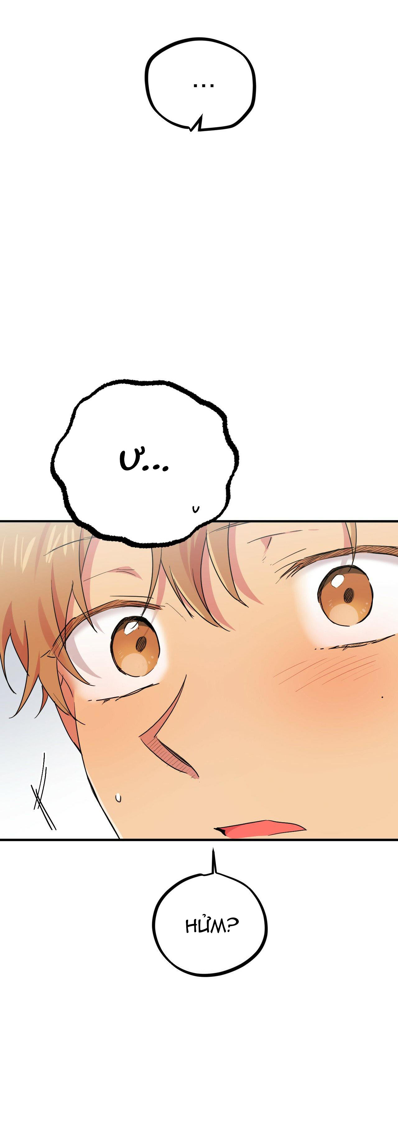 những chú thỏ của hapypy chapter 13 5