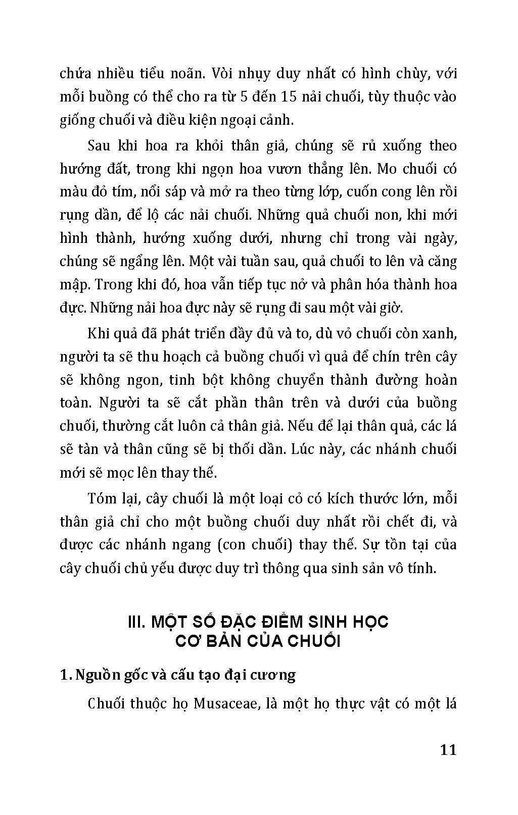 Nông Nghiệp Xanh Và Sạch - Trồng Chuối Năng Suất Cao Và Kỹ Thuật Khai Thác