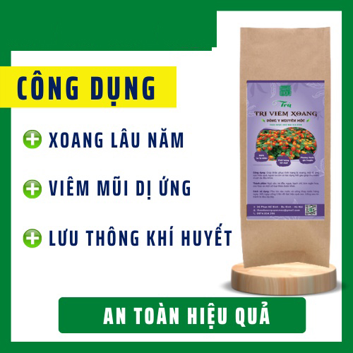 Trà viêm xoang túi lọc