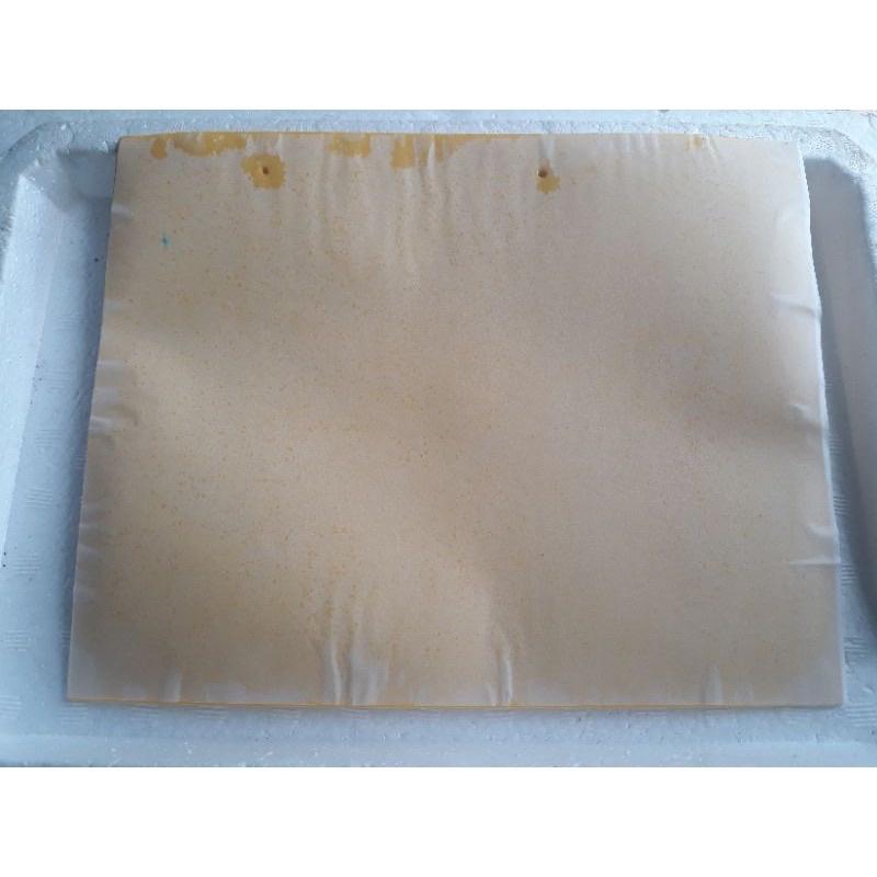 Miếng dính ruồi vàng