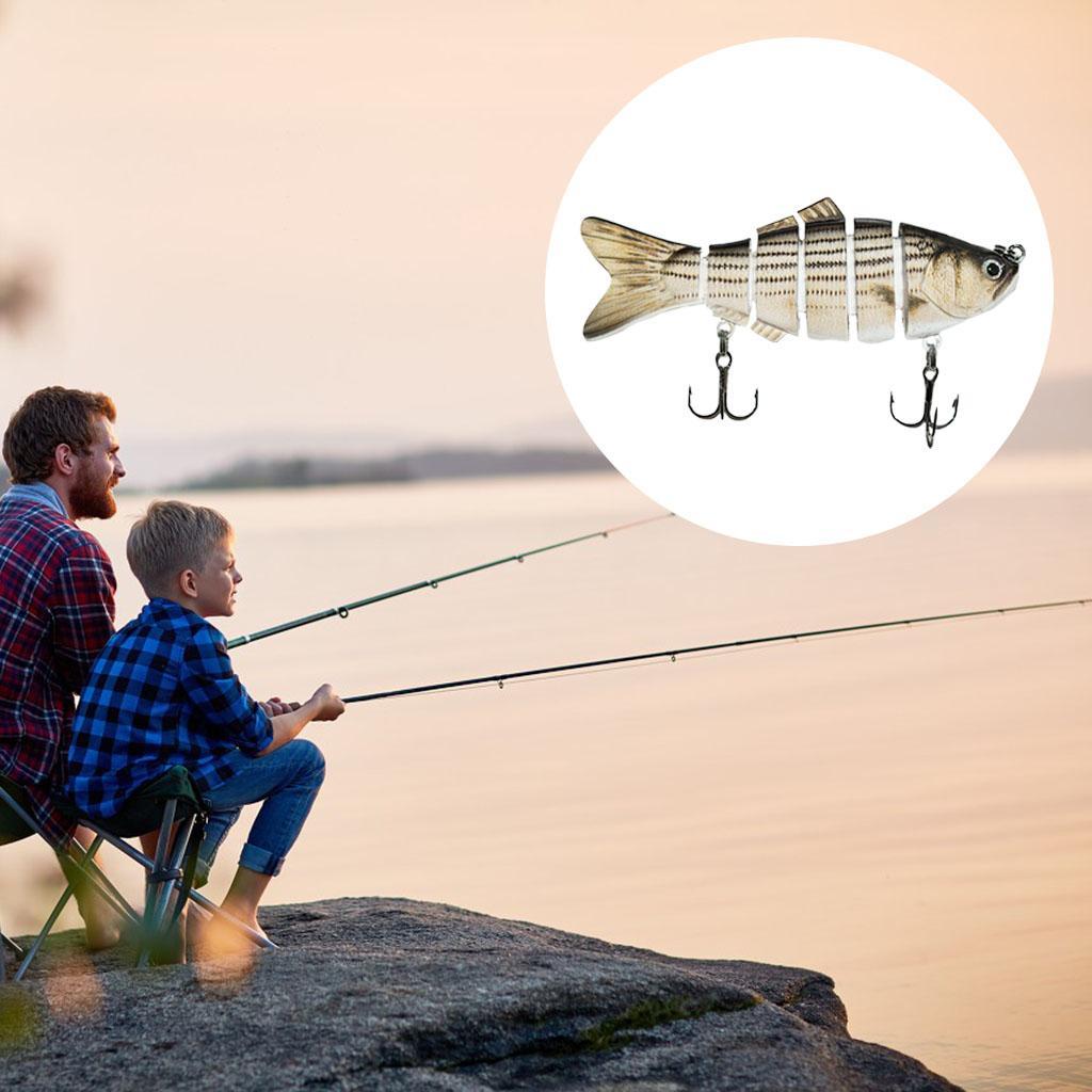 3D  Fishing   Crankbaits Fishing   with Hook