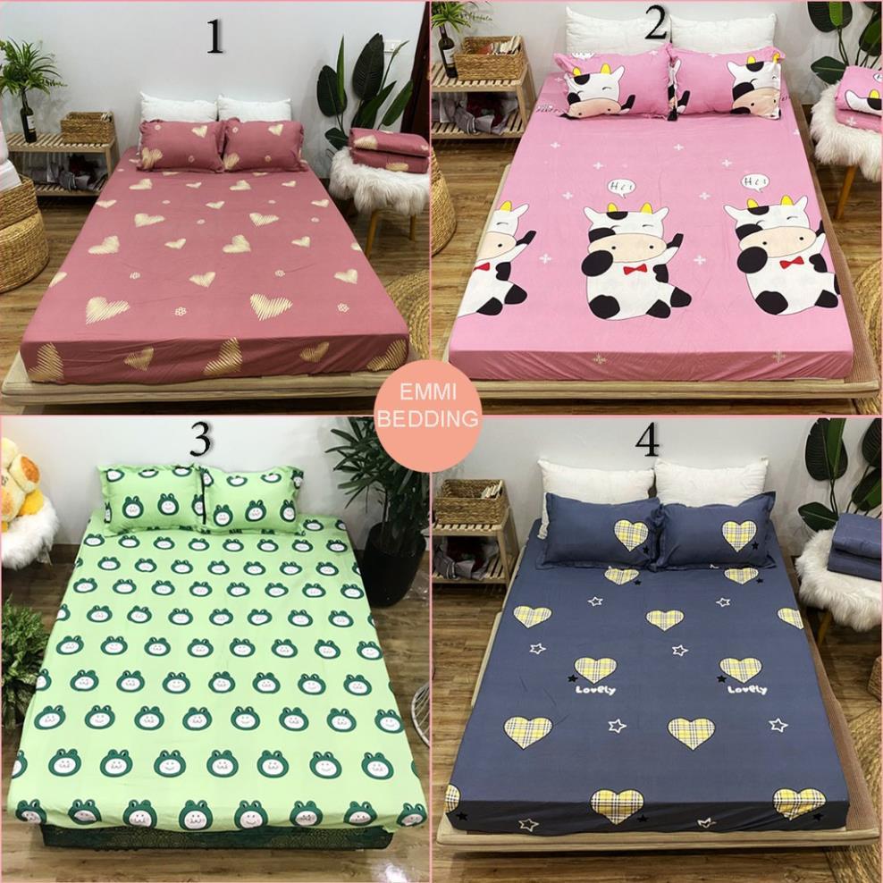 Bộ ga gối cotton poly