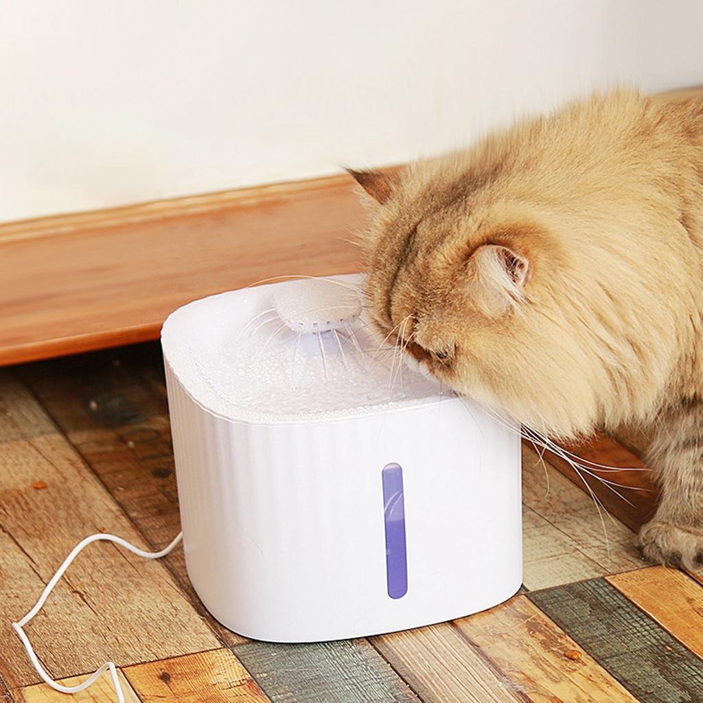 3L  Dispenser Fountain cat   Drinking Bowl with Filter