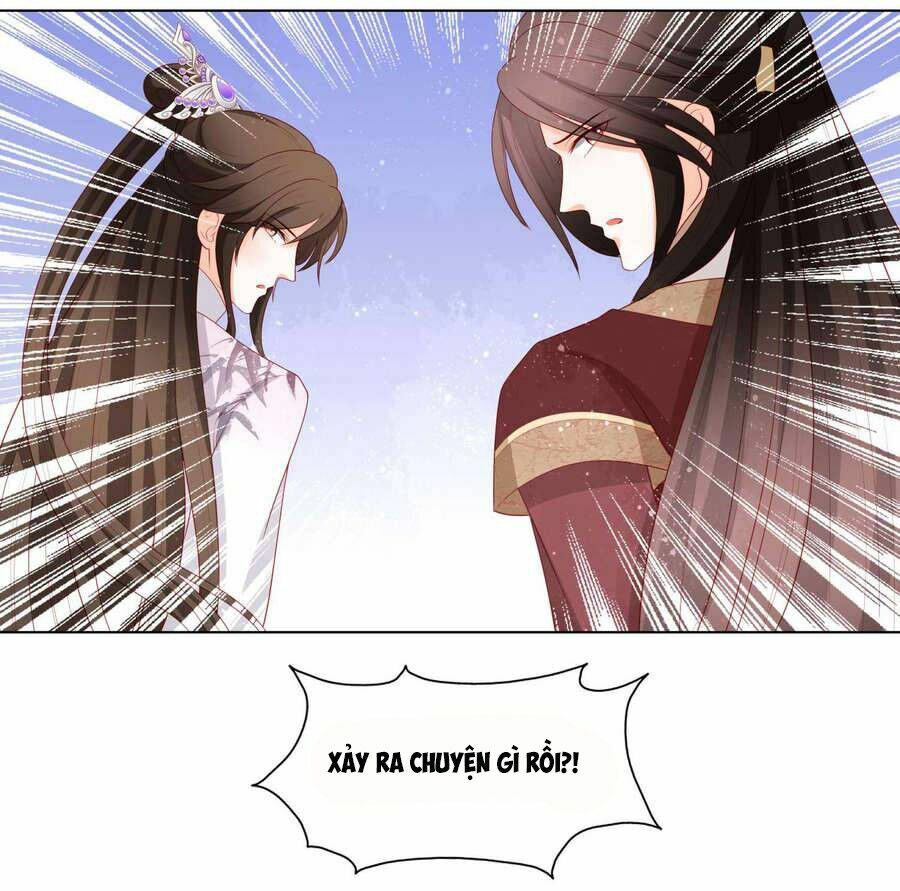 nam phi nữ tướng chapter 20 40