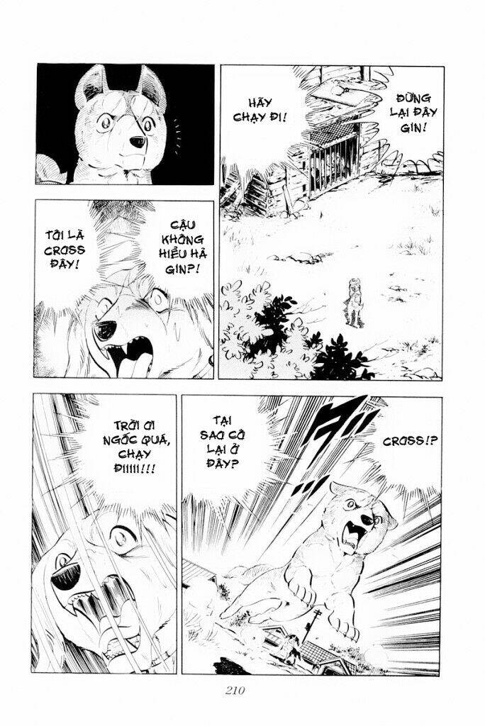 chú chó có nghĩa - ginga nagareboshi gin chapter 29 24