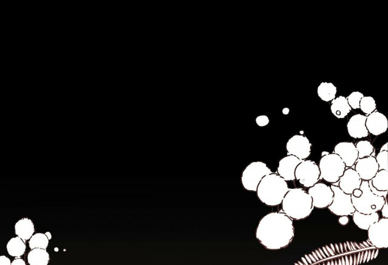 những chú thỏ của hapypy chapter 32.5 55