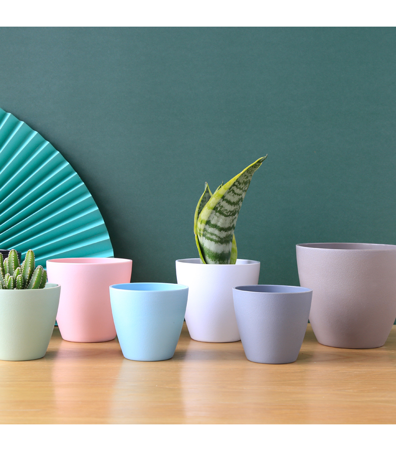 Chậu trồng cây mini MONROVIA cho sen đá, cây cảnh, hoa nhí, xương rồng, bonsai để bàn, ban công