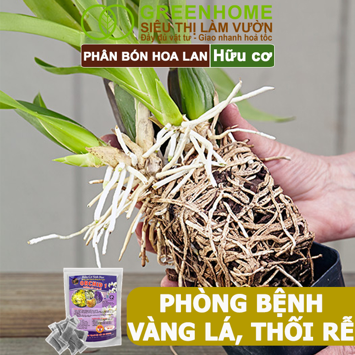 Phân Bón Lan Greenhome, Bao 36 Túi Lưới, Tan Chậm, Không Mùi Hôi, Dưỡng Lan Ra Rễ, Xanh Tốt, Dùng Tốt Cho Sen Đá, Kiểng