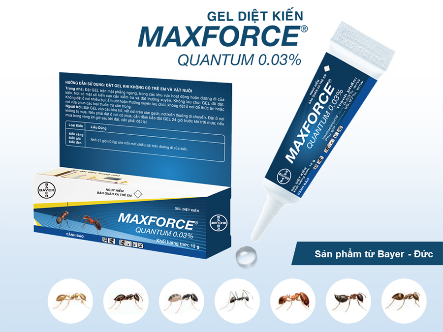 Diệt kiến dạng Gel Bayer Maxforce Quantum 0.03% (12g)