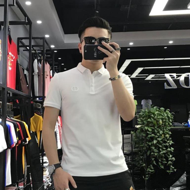 Áo thun cổ bẻ thêu ngực, áo polo trắng full size vải cá sấu form chuẩn-Thesize95-TSSTORE95