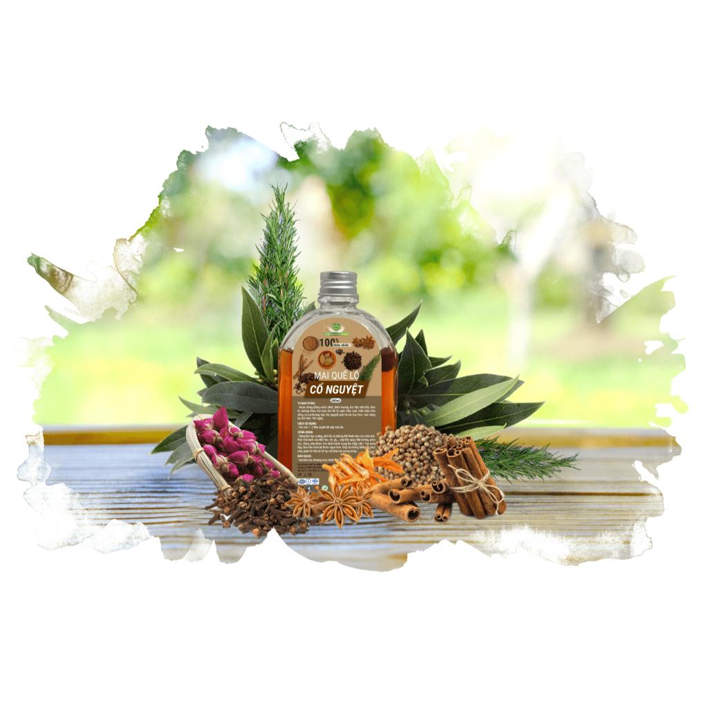 MAI QUẾ LỘ CỔ NGUYỆT MẸ KEN ( 200ml )