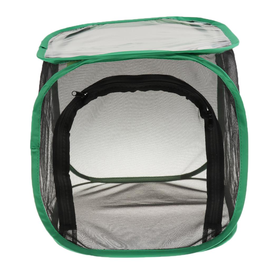 Foldable Insect and Butterfly Habitat Net Terrarium Breeding Cage Incubator