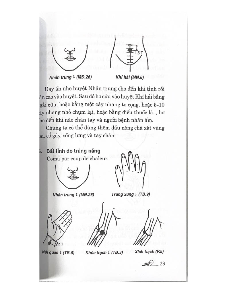 Khí Công Y Đạo - Tự Học Day Ấn Huyệt Chữa 104 Bệnh Cấp Cứu Thường Gặp - Đỗ Đức Ngọc - Tái Bản - Vanlangbooks