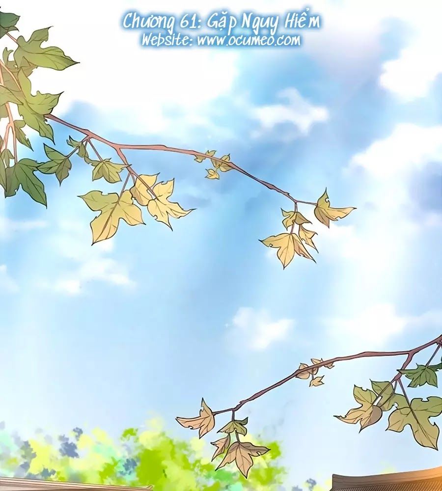 thịnh thế lê hoa điện chapter 61 2