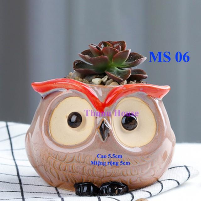 Chậu Cú mèo mini bằng sứ