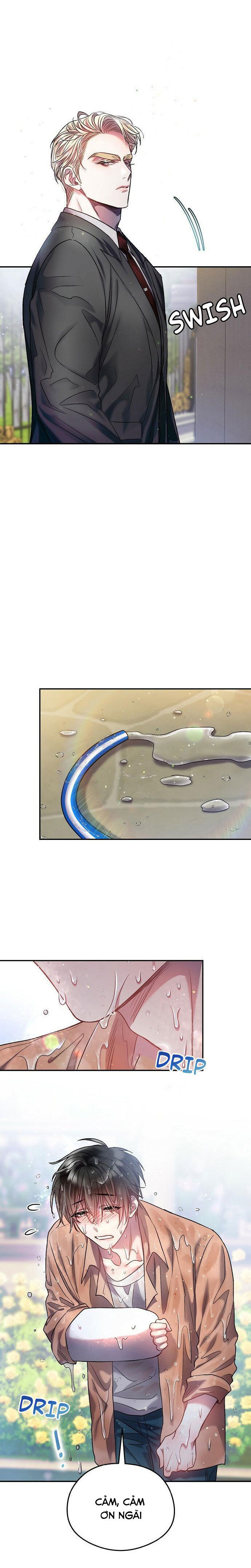 cơn mưa ngọt ngào chapter 11 19